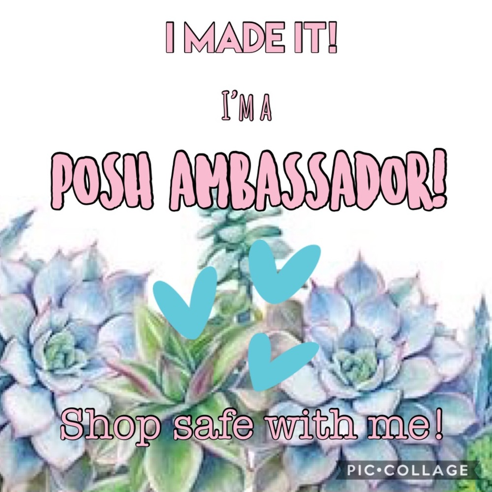 I’m a Posh Ambassador!